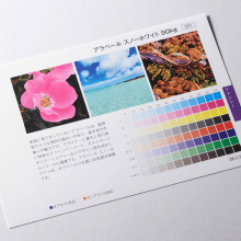 アラベールとは?質感や印刷適性、ヴァンヌーボとの違いを解説