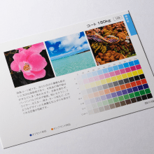 コート紙とは?特徴や厚さ、上質紙やマットコート紙との違い