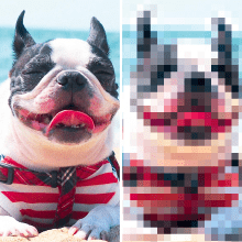 画像解像度とdpi|印刷やWebサイトの目安と確認方法