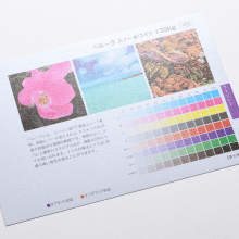 ペルーラとは?用紙の特徴とおすすめの用途