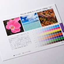 ヴァンヌーボとは?質感や印刷適性、アラベールとの違いを解説