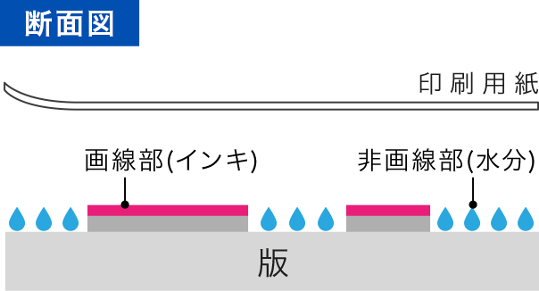 オフセット印刷は、版を用いてインキを紙に転写する方法です