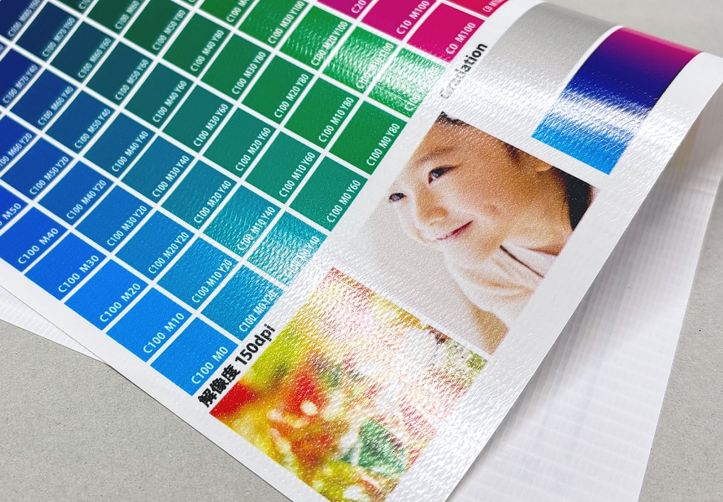 グロスターポリンの素材イメージ