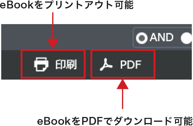 eBookの「印刷」と「PDFダウンロード」のオプションボタンのアイコン拡大説明