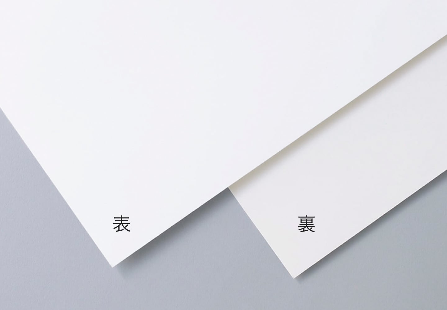 TS耐水紙の拡大イメージ