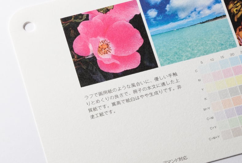 HS画王のイメージ