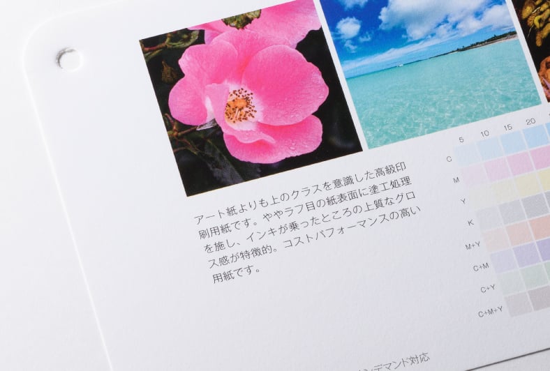 MTA+-FSのイメージ