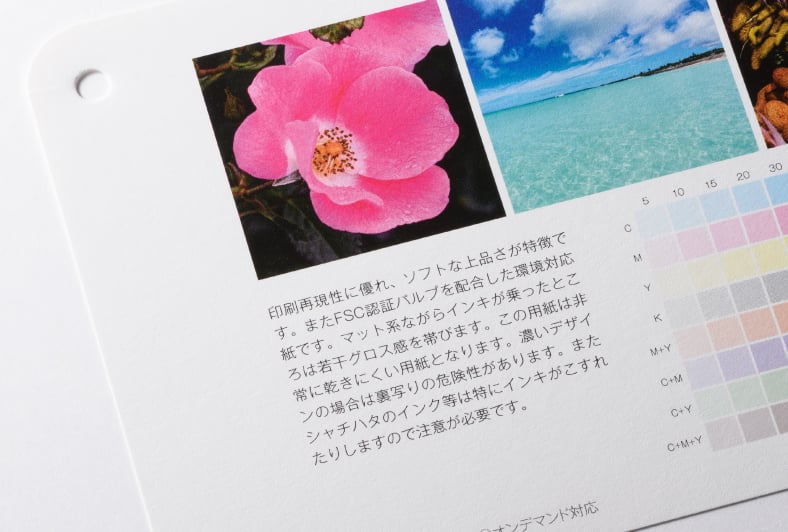 AライトスタッフGA-FSのイメージ