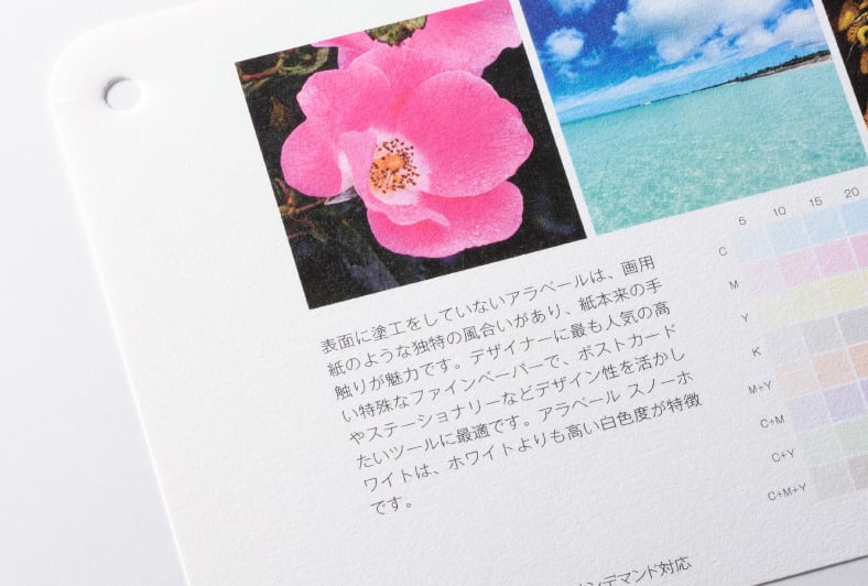 アラベール スノーホワイトのイメージ