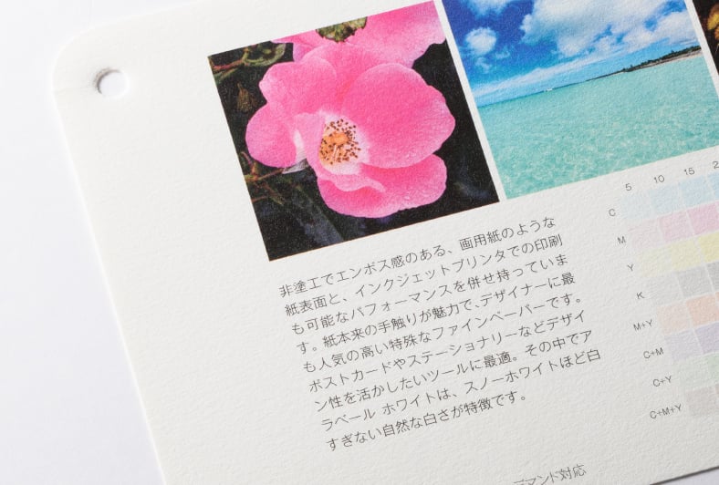 アラベール ホワイトのイメージ