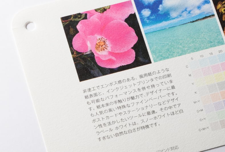 b7トラネクストのイメージ