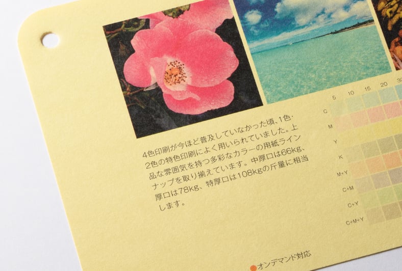 色上質のイメージ