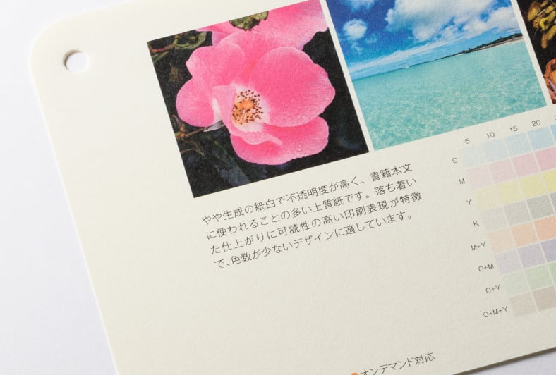 淡クリームキンマリのイメージ