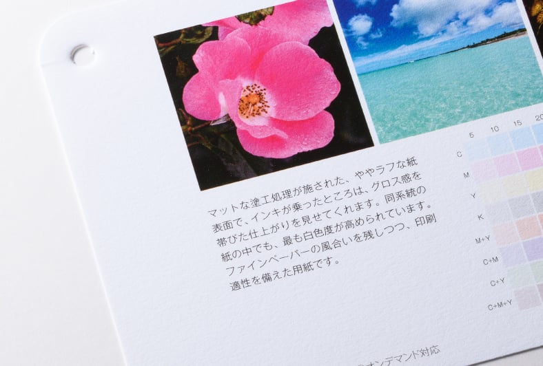 グラフィック ファンシーのイメージ