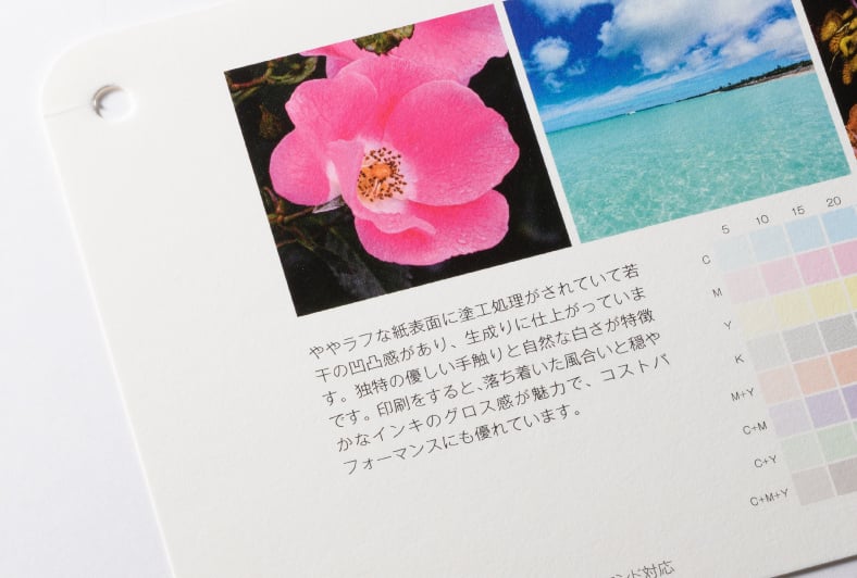 ガルバスCoCのイメージ