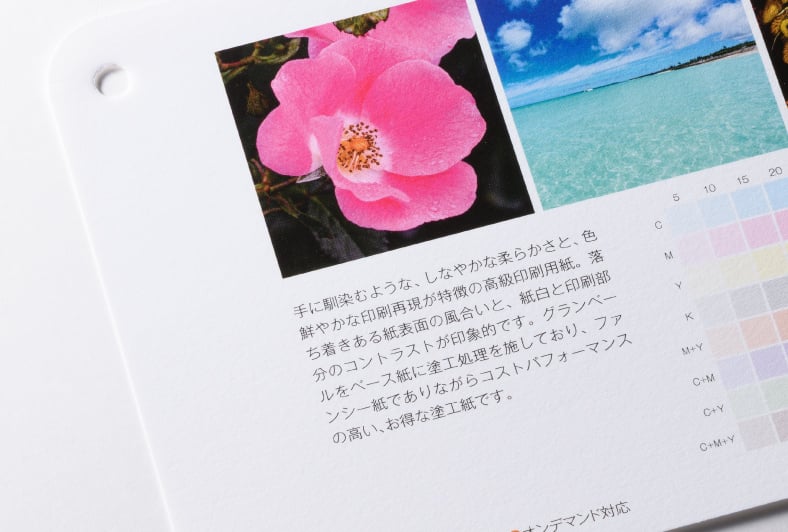 グランヌーボ スーパーホワイトのイメージ