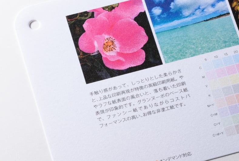 グランベール スーパーホワイトのイメージ