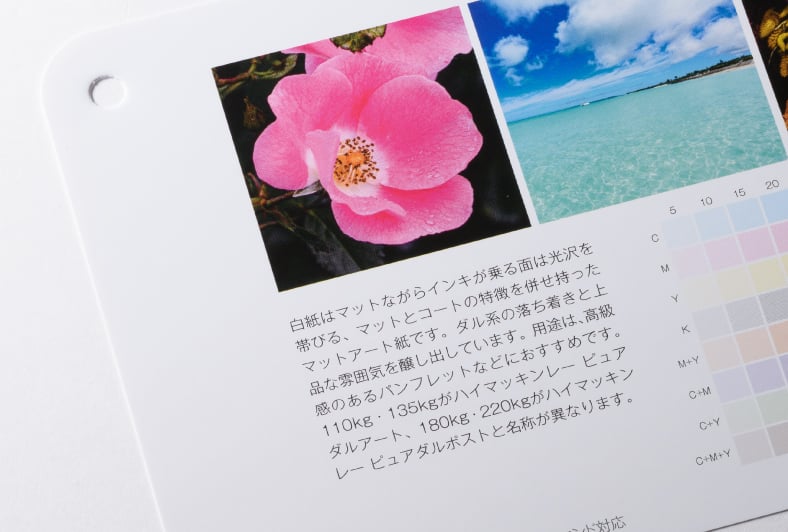 ハイマッキンレー ピュアダルポスト/ピュアダルアートのイメージ