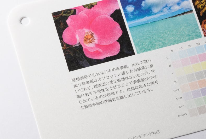 奉書紙 自然色のイメージ