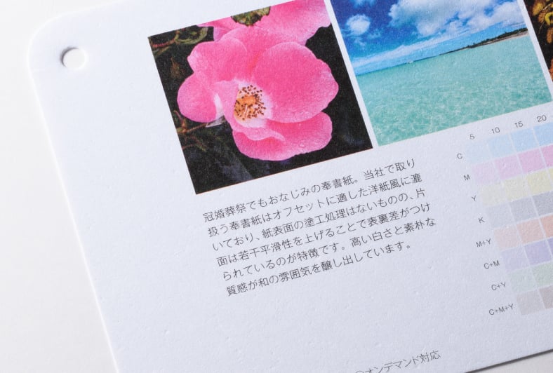 奉書紙 白色のイメージ