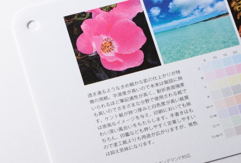 ケント紙のイメージ