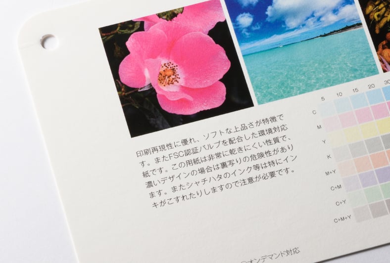 ライトスタッフGA(N)-FSのイメージ