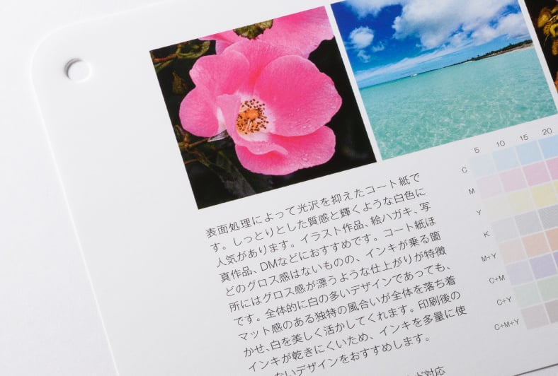 マットコート紙(55kg~)のイメージ