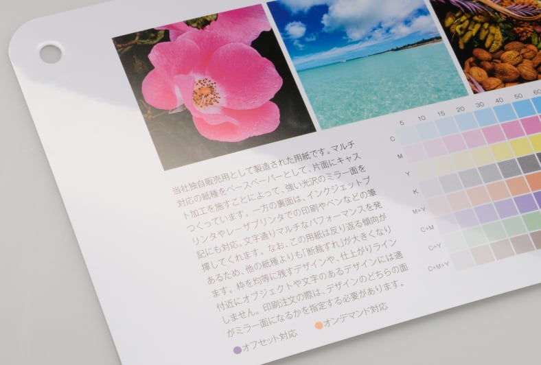 ミラーマルチFS(ミラーケントFS)紙のイメージ