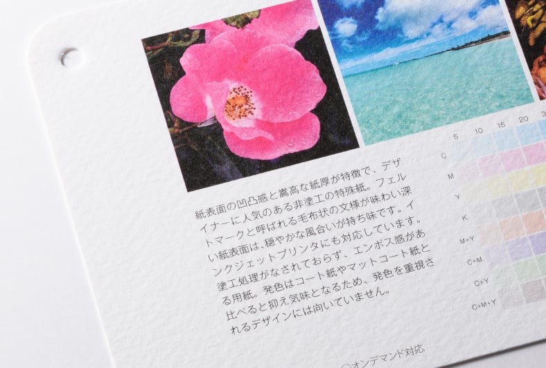 モデラトーンGAスノーのイメージ