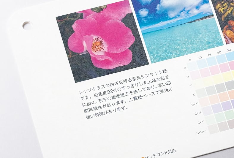 モンテルキアのイメージ