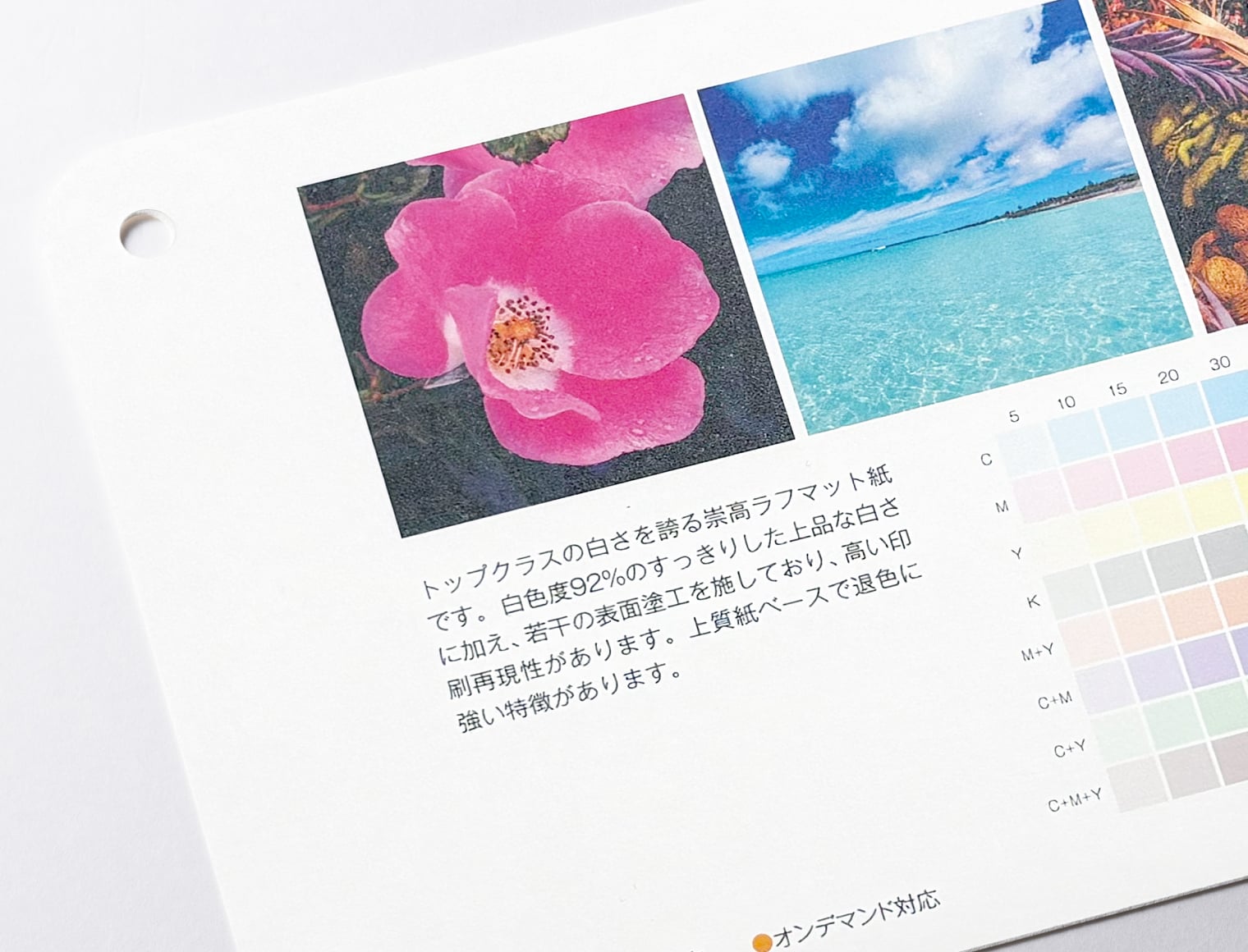 モンテルキアの拡大イメージ