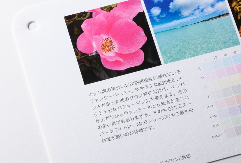 Mr.Bスーパーホワイトのイメージ