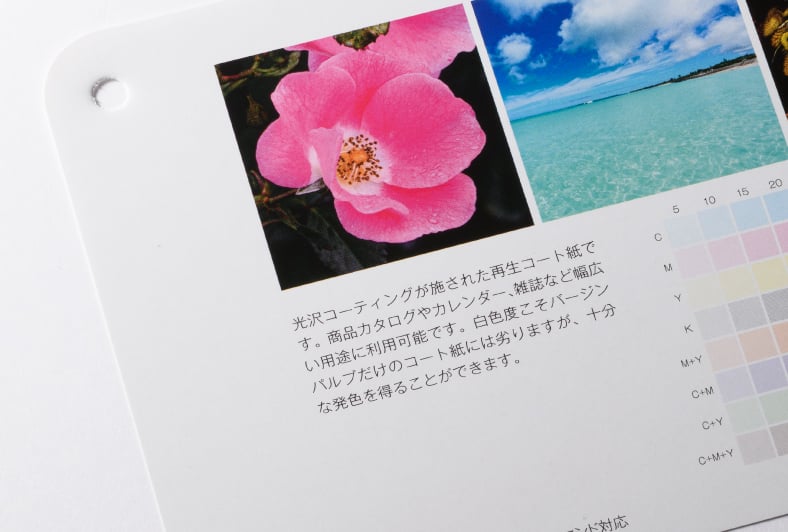 コート再生紙のイメージ