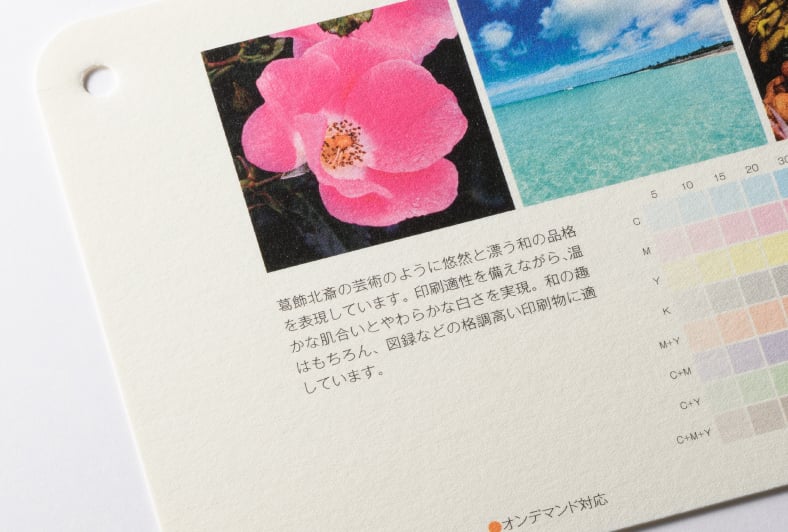 新・北斎のイメージ