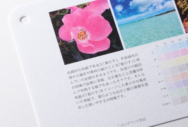 新鳥の子 雪のイメージ