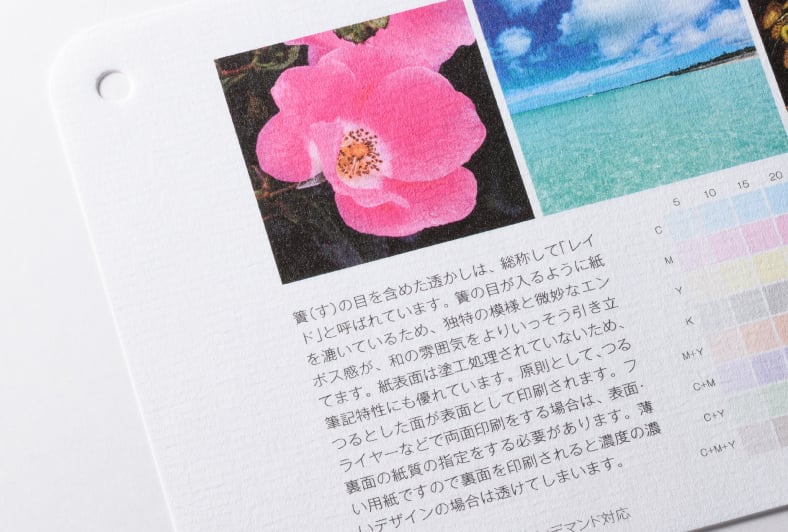 サンレイドのイメージ