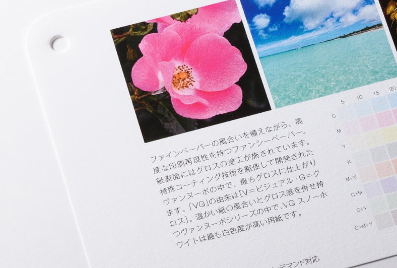 ヴァンヌーボVG スノーホワイトのイメージ