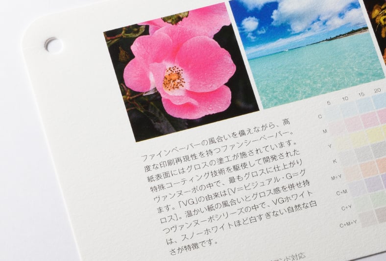 ヴァンヌーボVG ホワイトのイメージ