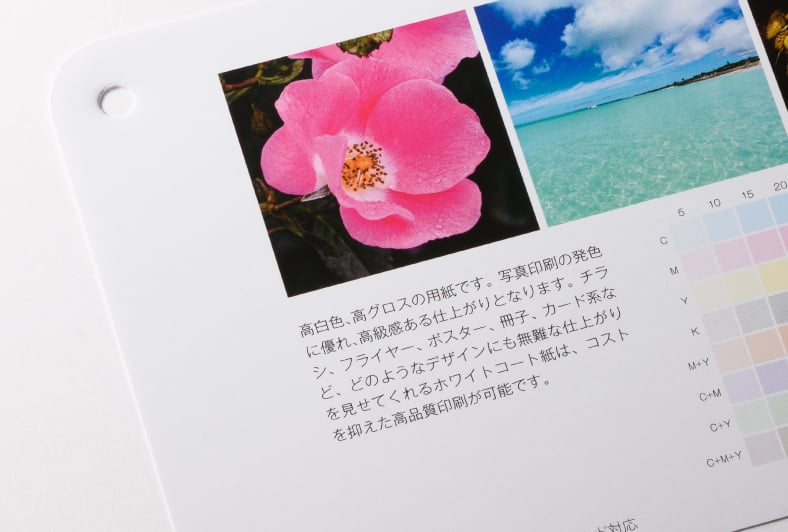 ホワイトコートのイメージ