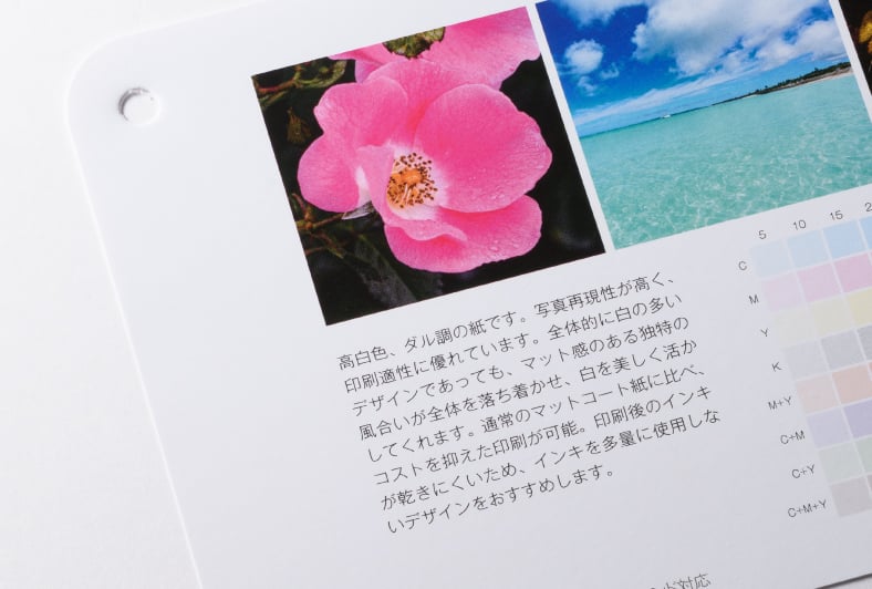 ホワイトマットコートのイメージ