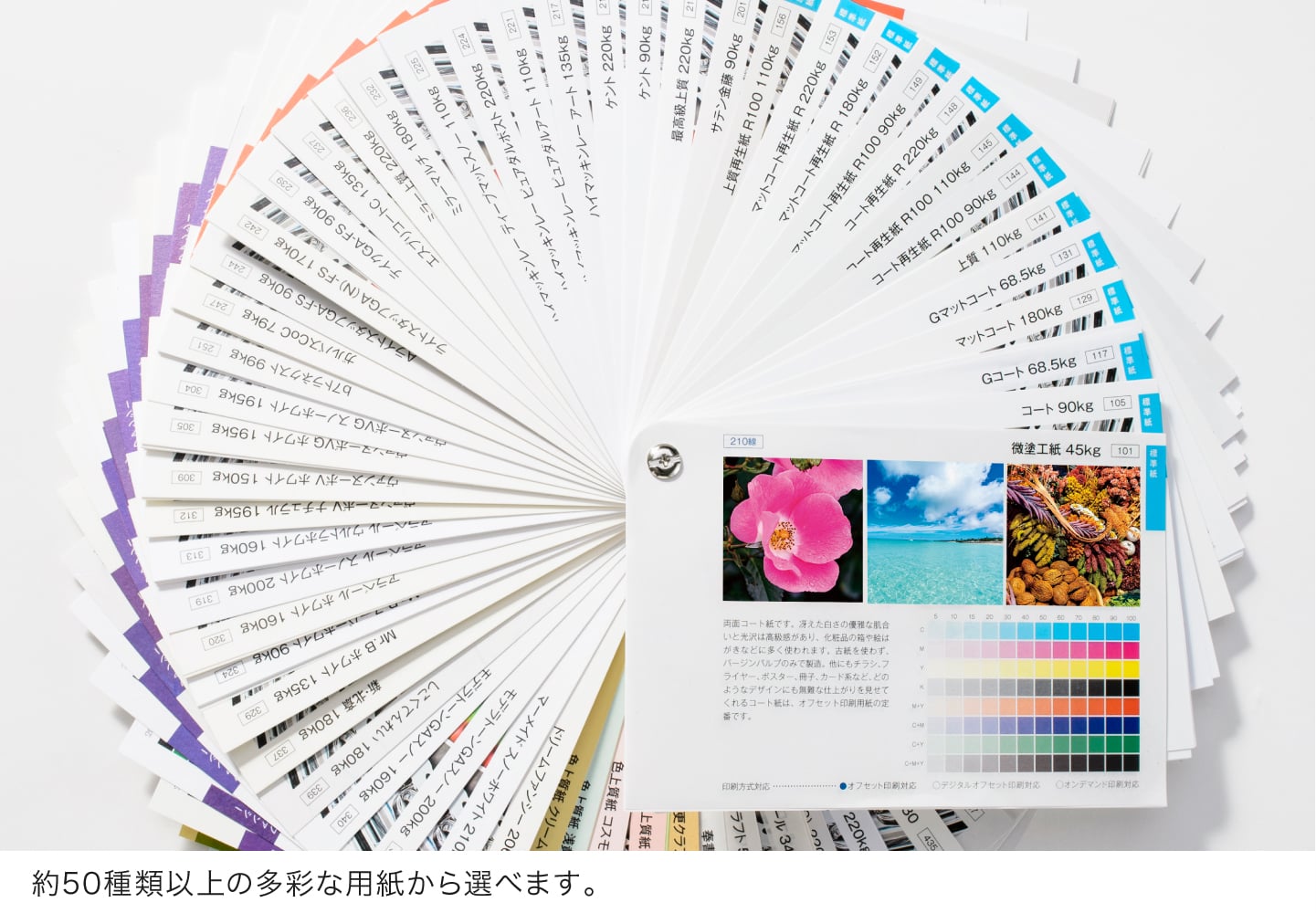 約50種類以上の多彩な用紙から選べます